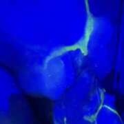 ヒメ日記 2025/09/07 11:58 投稿 もちも 千葉松戸ちゃんこ