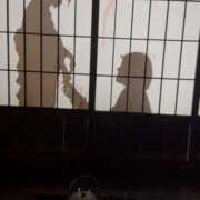 ヒメ日記 2025/10/25 19:43 投稿 もちも 千葉松戸ちゃんこ