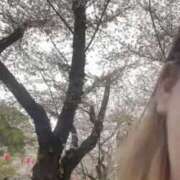 ヒメ日記 2026/04/08 13:56 投稿 もちも 千葉松戸ちゃんこ