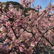 ヒメ日記 2026/02/21 11:30 投稿 ゆま 熊谷人妻城