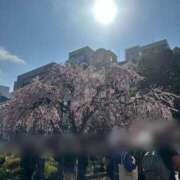 ヒメ日記 2026/03/26 10:42 投稿 ゆま 熊谷人妻城