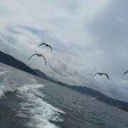 ヒメ日記 2025/09/07 06:52 投稿 かやの 熊谷人妻城