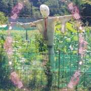 ヒメ日記 2025/09/07 11:15 投稿 かやの 熊谷人妻城