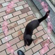 ヒメ日記 2025/09/11 12:11 投稿 かやの 熊谷人妻城