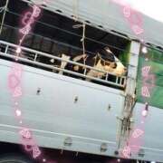 ヒメ日記 2025/09/16 04:14 投稿 かやの 熊谷人妻城