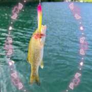 ヒメ日記 2025/09/17 04:59 投稿 かやの 熊谷人妻城