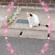 ヒメ日記 2025/09/25 01:30 投稿 かやの 熊谷人妻城