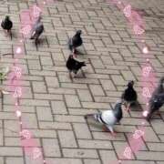 ヒメ日記 2025/09/25 15:14 投稿 かやの 熊谷人妻城