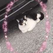 ヒメ日記 2025/09/25 23:53 投稿 かやの 熊谷人妻城