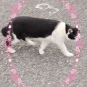 ヒメ日記 2025/09/26 07:53 投稿 かやの 熊谷人妻城