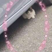 ヒメ日記 2025/09/26 08:01 投稿 かやの 熊谷人妻城