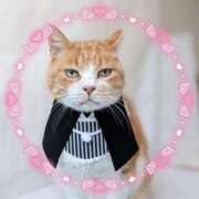 ヒメ日記 2025/10/08 17:16 投稿 かやの 熊谷人妻城