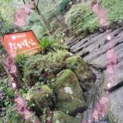 ヒメ日記 2025/10/27 08:42 投稿 かやの 熊谷人妻城