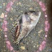 ヒメ日記 2025/10/29 13:31 投稿 かやの 熊谷人妻城