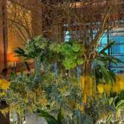 ヒメ日記 2025/11/01 23:24 投稿 かやの 熊谷人妻城