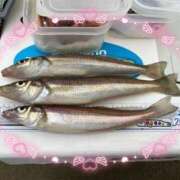 ヒメ日記 2025/11/10 01:36 投稿 かやの 熊谷人妻城