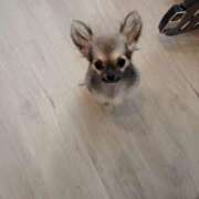 ヒメ日記 2025/11/11 16:25 投稿 かやの 熊谷人妻城