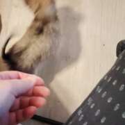 ヒメ日記 2025/11/12 06:03 投稿 かやの 熊谷人妻城