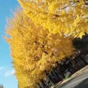 ヒメ日記 2025/11/17 03:47 投稿 かやの 熊谷人妻城