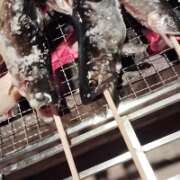 ヒメ日記 2025/11/17 04:04 投稿 かやの 熊谷人妻城