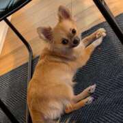 ヒメ日記 2026/02/22 06:45 投稿 かやの 熊谷人妻城