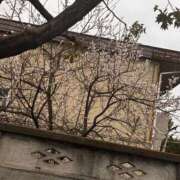 ヒメ日記 2026/02/28 17:39 投稿 せりか 若妻淫乱倶楽部