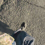 せりか (｡･ω･)ﾉﾞ 若妻淫乱倶楽部 久喜店