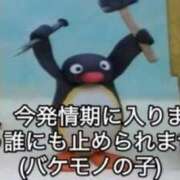 ヒメ日記 2025/10/10 12:36 投稿 まゆり 花火-hanabi-(すすきの)