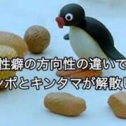 ヒメ日記 2025/12/23 12:03 投稿 まゆり 花火-hanabi-(すすきの)