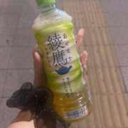 ヒメ日記 2025/08/27 23:54 投稿 西島 BBW横浜店