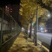 西島 黄色の絨毯🍁🍂 BBW横浜店