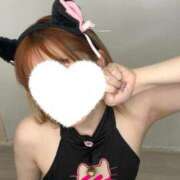 ヒメ日記 2025/11/19 20:51 投稿 山口りな 渋谷ガーデン