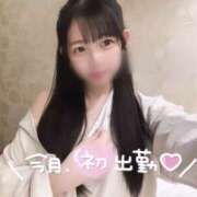 ヒメ日記 2025/09/01 16:05 投稿 ふわり クラブ バレンタイン大阪