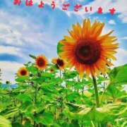 ヒメ日記 2025/08/22 07:38 投稿 後藤るみ 五十路マダム　和歌山店