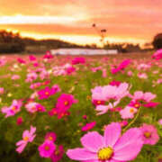 ヒメ日記 2025/09/14 19:04 投稿 後藤るみ 五十路マダム　和歌山店