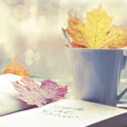 ヒメ日記 2025/10/30 17:28 投稿 後藤るみ 五十路マダム　和歌山店