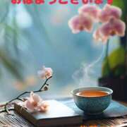 ヒメ日記 2025/11/29 07:36 投稿 後藤るみ 五十路マダム　和歌山店