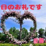 ヒメ日記 2025/12/06 14:58 投稿 後藤るみ 五十路マダム　和歌山店