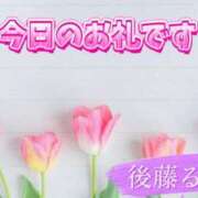 ヒメ日記 2026/02/28 16:26 投稿 後藤るみ 五十路マダム　和歌山店