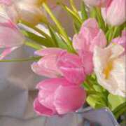 ヒメ日記 2026/04/05 10:16 投稿 後藤るみ 五十路マダム　和歌山店