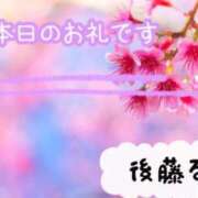 ヒメ日記 2026/04/05 14:54 投稿 後藤るみ 五十路マダム　和歌山店