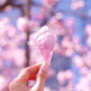 ヒメ日記 2026/04/19 19:00 投稿 後藤るみ 五十路マダム　和歌山店