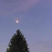 一花 初投稿です 出会い系人妻ネットワーク 上野〜大塚編