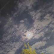 一花 月がきれいですね 出会い系人妻ネットワーク 上野〜大塚編