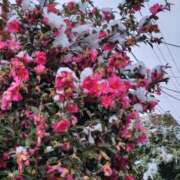 ヒメ日記 2026/02/08 22:09 投稿 一花 出会い系人妻ネットワーク 上野〜大塚編