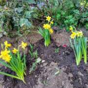 ヒメ日記 2026/02/15 20:47 投稿 一花 出会い系人妻ネットワーク 上野〜大塚編