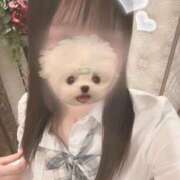 ヒメ日記 2025/09/27 11:15 投稿 かれん♡本日初登校 さくらんぼ女学院