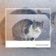 ヒメ日記 2026/03/04 10:30 投稿 れい ミセス クリエーション