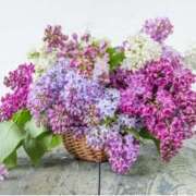 ヒメ日記 2026/03/07 12:50 投稿 れい ミセス クリエーション