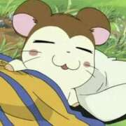 ヒメ日記 2025/11/01 00:20 投稿 れい 風俗の神様　浜松店